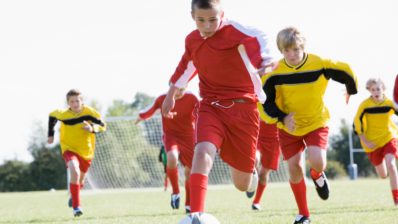 Could you foster Jan (10)?